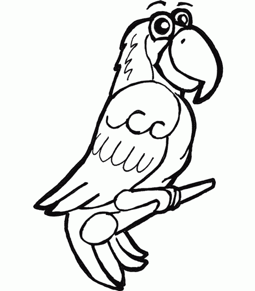 desene de colorat papagal